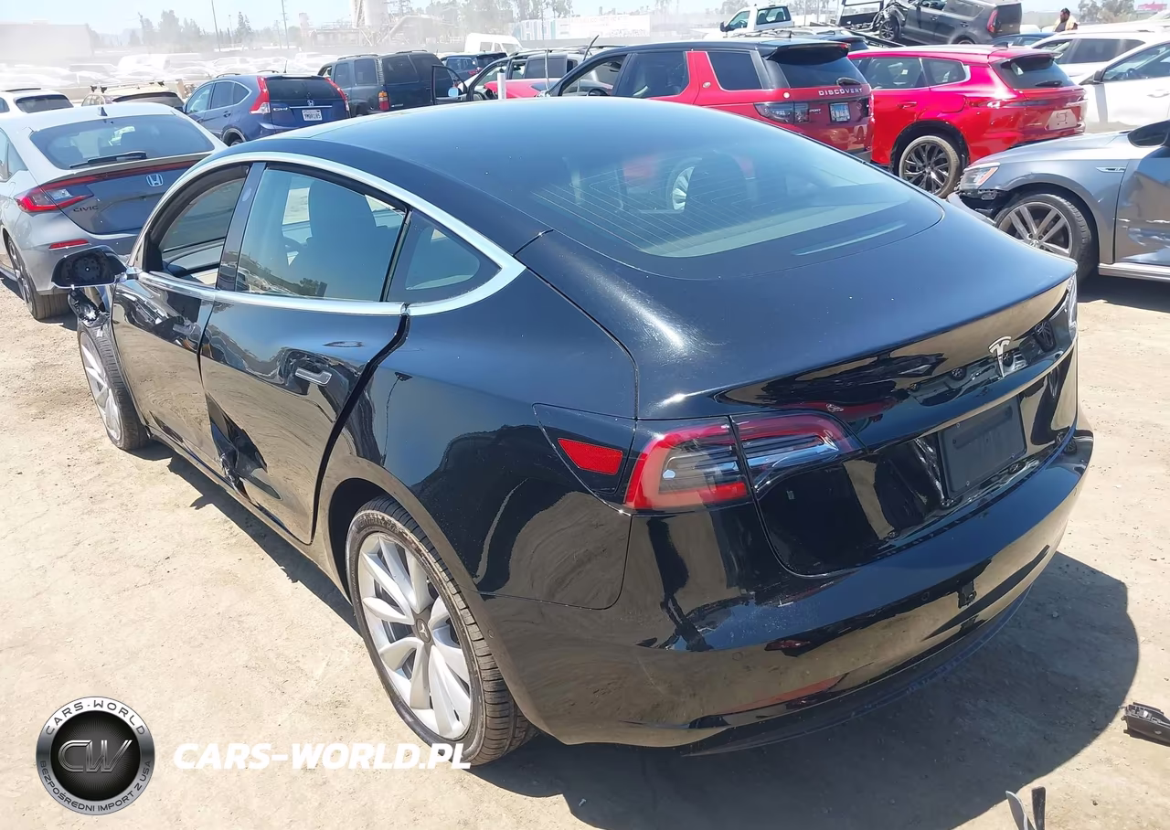 2019 Tesla Model 3 Long Range-Mid Range-Standard Range-Standard Range Plus VIN:5YJ3E1EA5KF401747 - 3