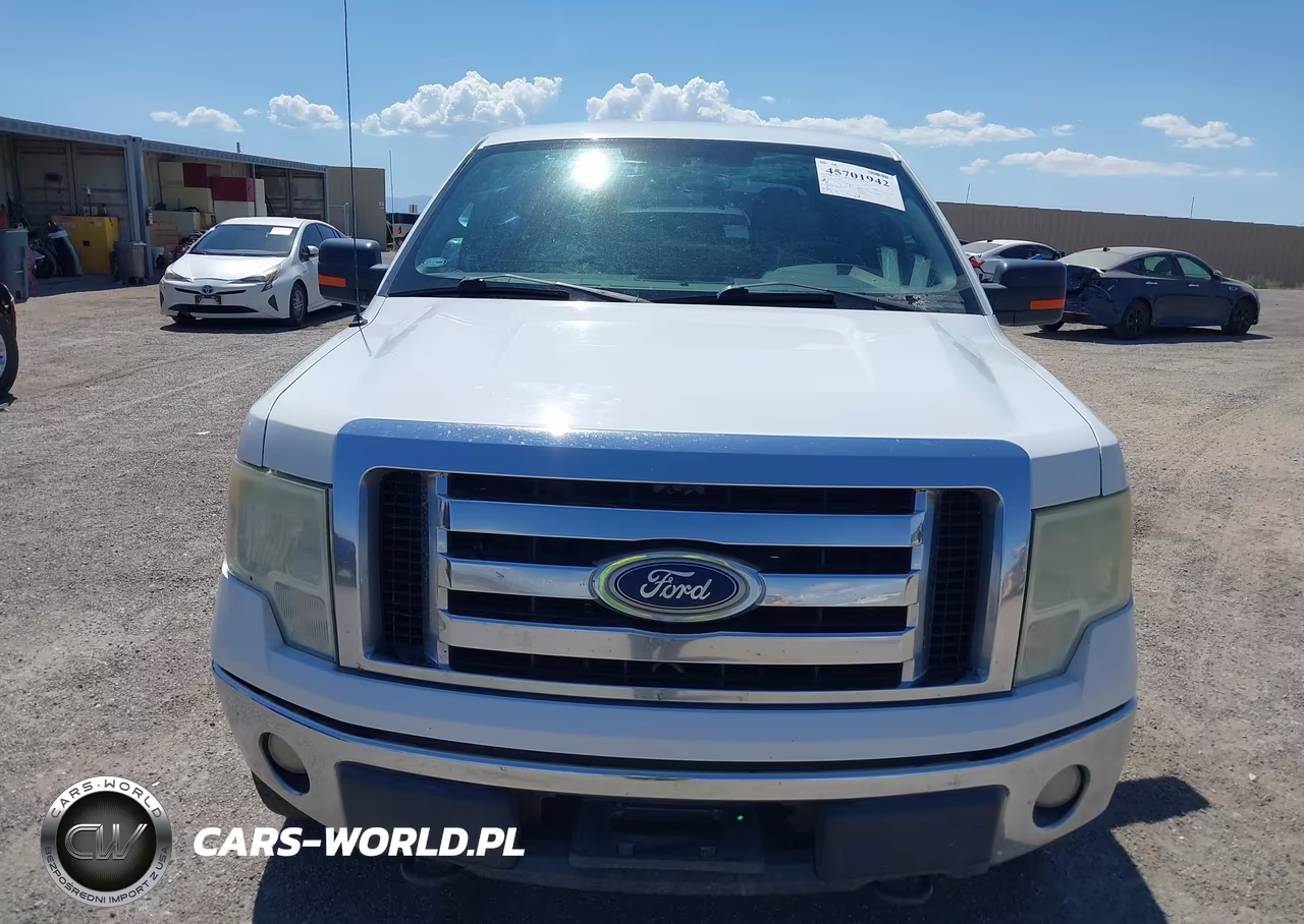 2010 Ford F-150 Fx4-Harley-Davidson-King Ranch-Lariat-Platinum-Xl-Xlt VIN:1FTFW1EV5AKE20992 - 12