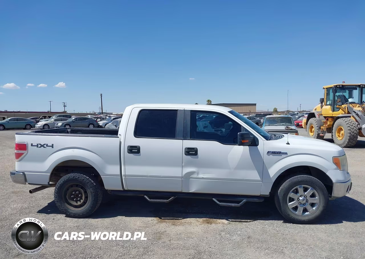 2010 Ford F-150 Fx4-Harley-Davidson-King Ranch-Lariat-Platinum-Xl-Xlt VIN:1FTFW1EV5AKE20992 - 13