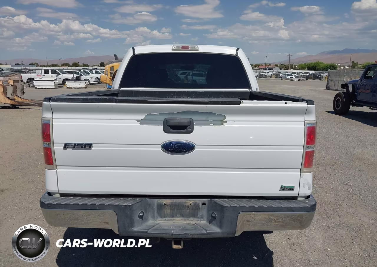 2010 Ford F-150 Fx4-Harley-Davidson-King Ranch-Lariat-Platinum-Xl-Xlt VIN:1FTFW1EV5AKE20992 - 16