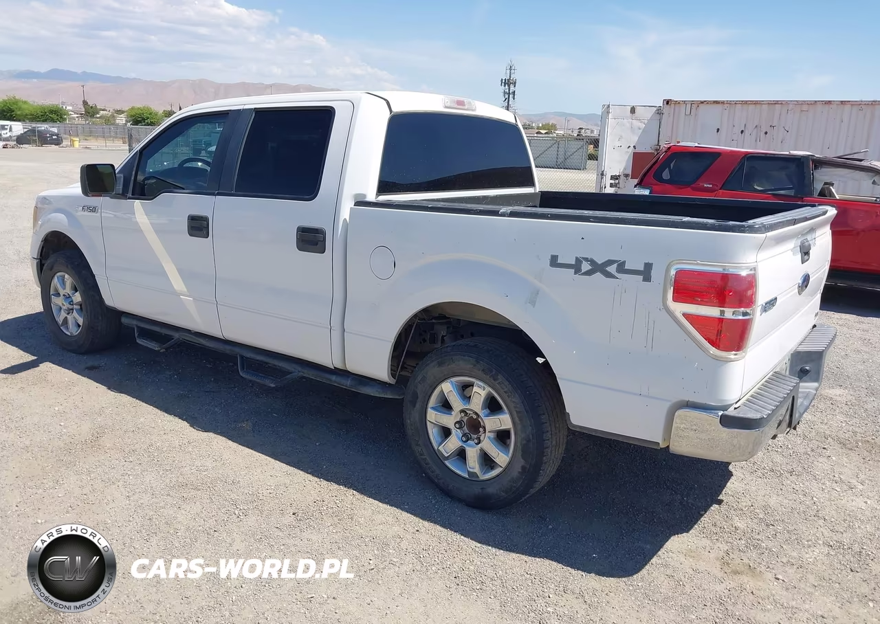 2010 Ford F-150 Fx4-Harley-Davidson-King Ranch-Lariat-Platinum-Xl-Xlt VIN:1FTFW1EV5AKE20992 - 3