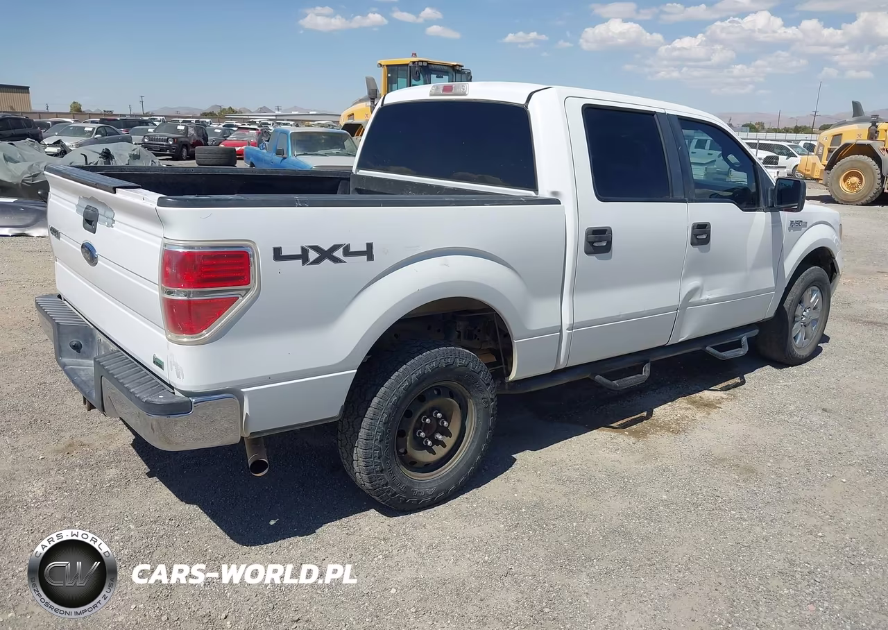 2010 Ford F-150 Fx4-Harley-Davidson-King Ranch-Lariat-Platinum-Xl-Xlt VIN:1FTFW1EV5AKE20992 - 4