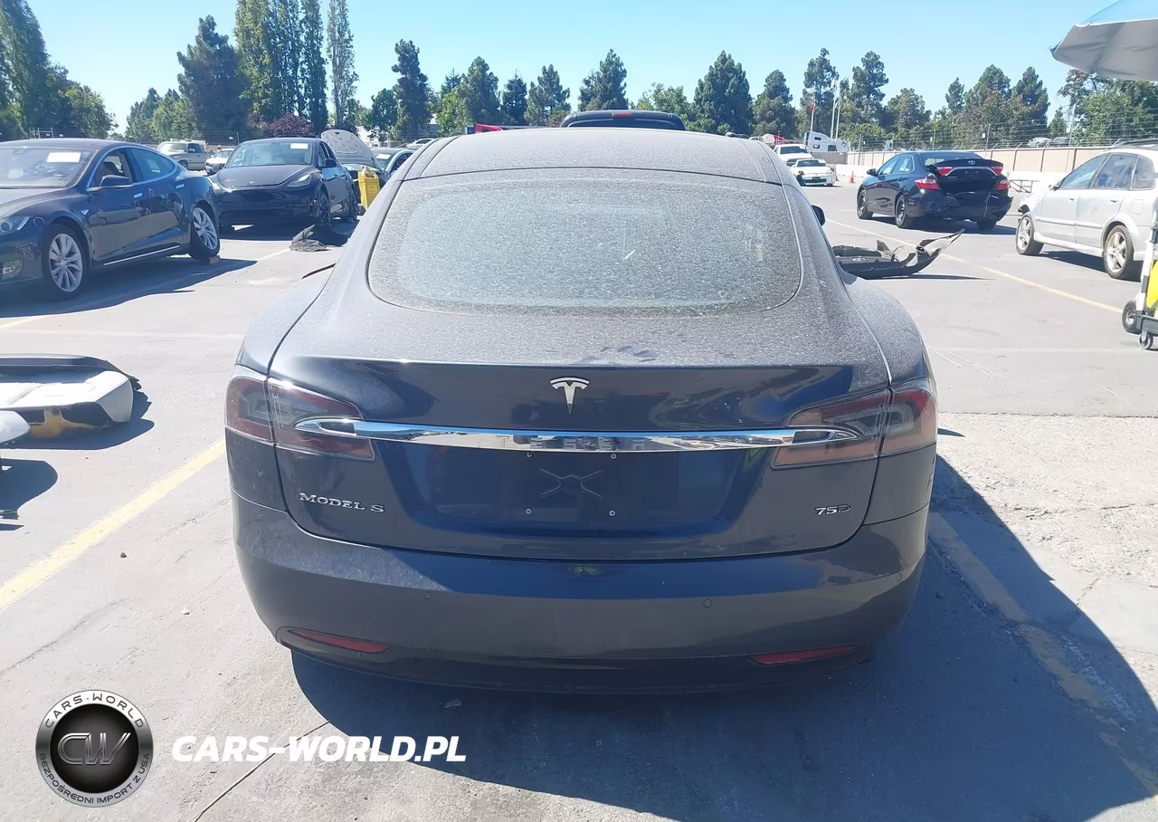 2016 Tesla Model S 60D-70D-75D-85D-90D VIN:5YJSA1E27GF174679 - 16