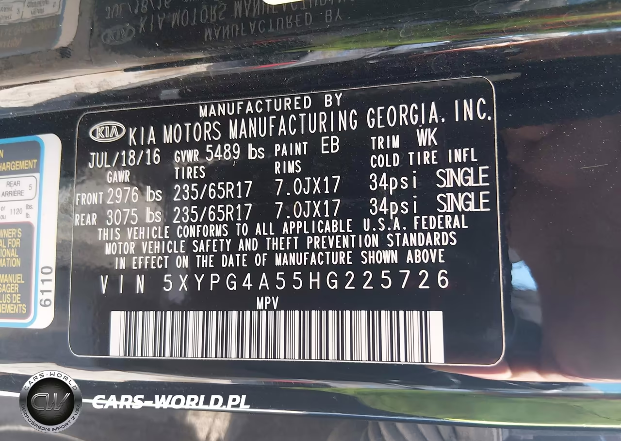 2017 Kia Sorento 3.3L Lx VIN:5XYPG4A55HG225726 - 9