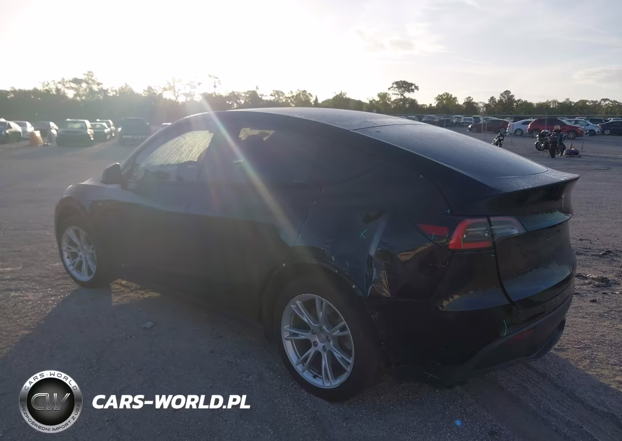 2020 Tesla Model Y Long Range Dual Motor All-Wheel Drive VIN:5YJYGDEE3LF041030 - 3