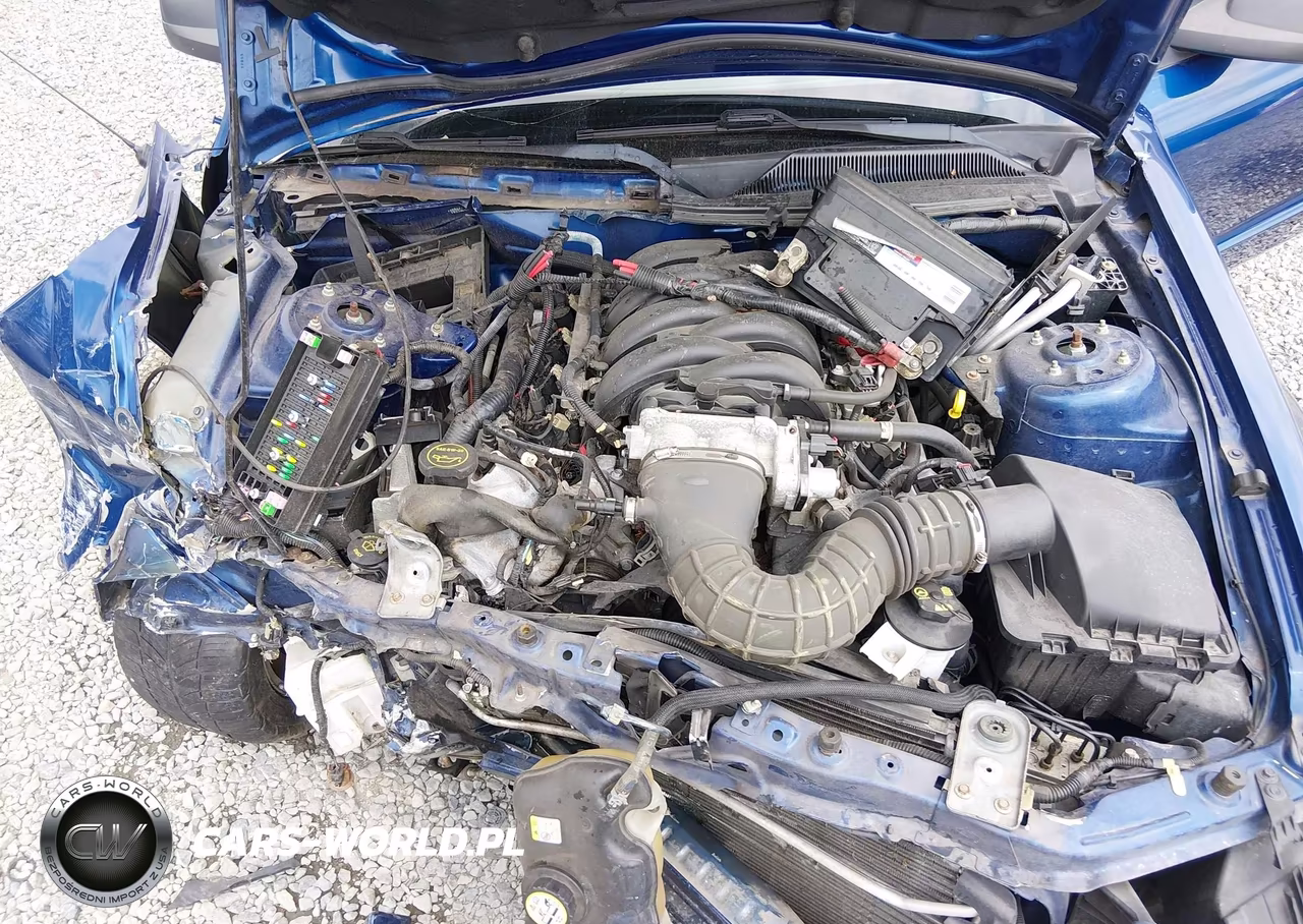 2006 Ford Mustang Gt VIN:1ZVHT82HX65167566 - 10