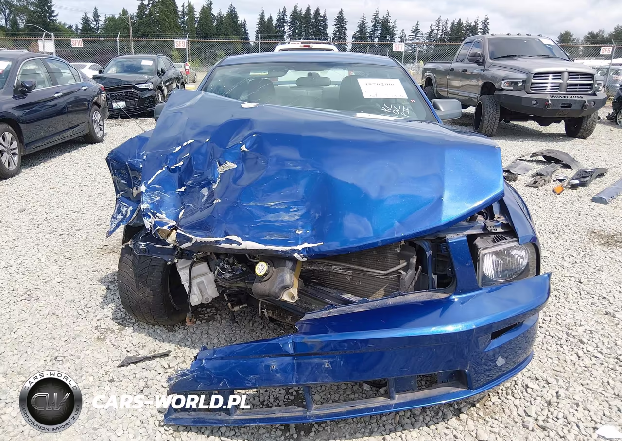 2006 Ford Mustang Gt VIN:1ZVHT82HX65167566 - 13