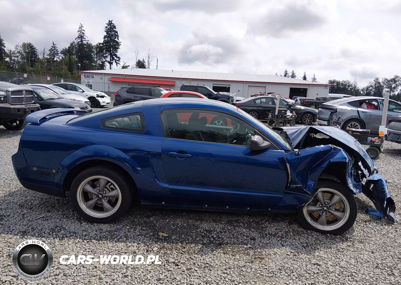 2006 Ford Mustang Gt VIN:1ZVHT82HX65167566 - 14
