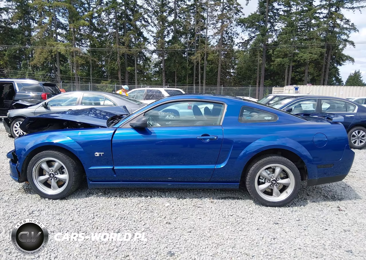 2006 Ford Mustang Gt VIN:1ZVHT82HX65167566 - 15