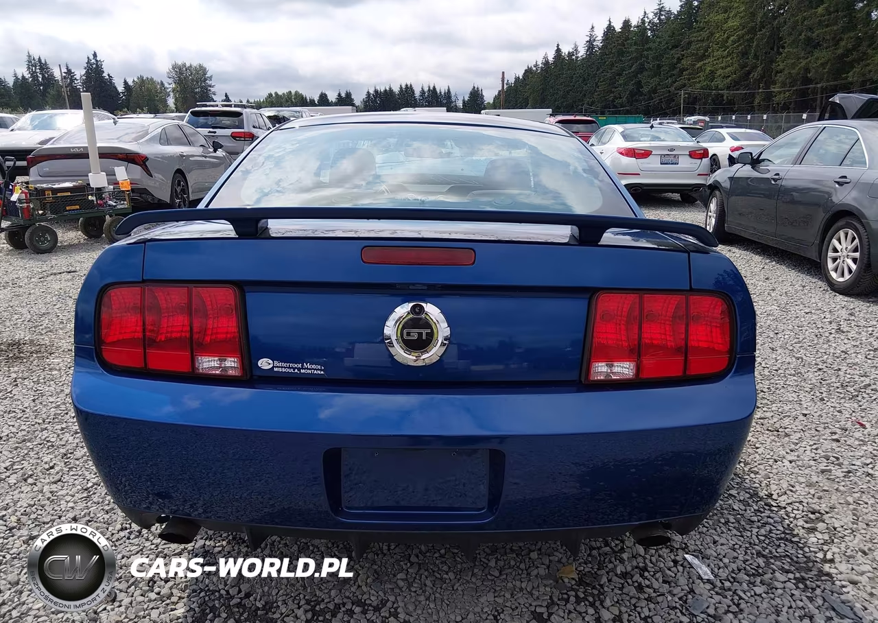 2006 Ford Mustang Gt VIN:1ZVHT82HX65167566 - 17