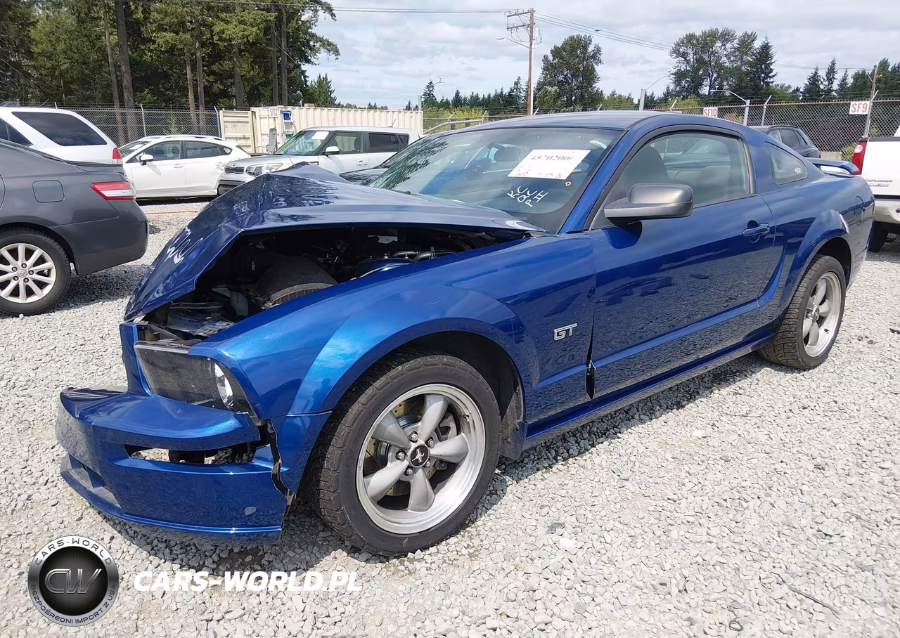 2006 Ford Mustang Gt VIN:1ZVHT82HX65167566 - 2