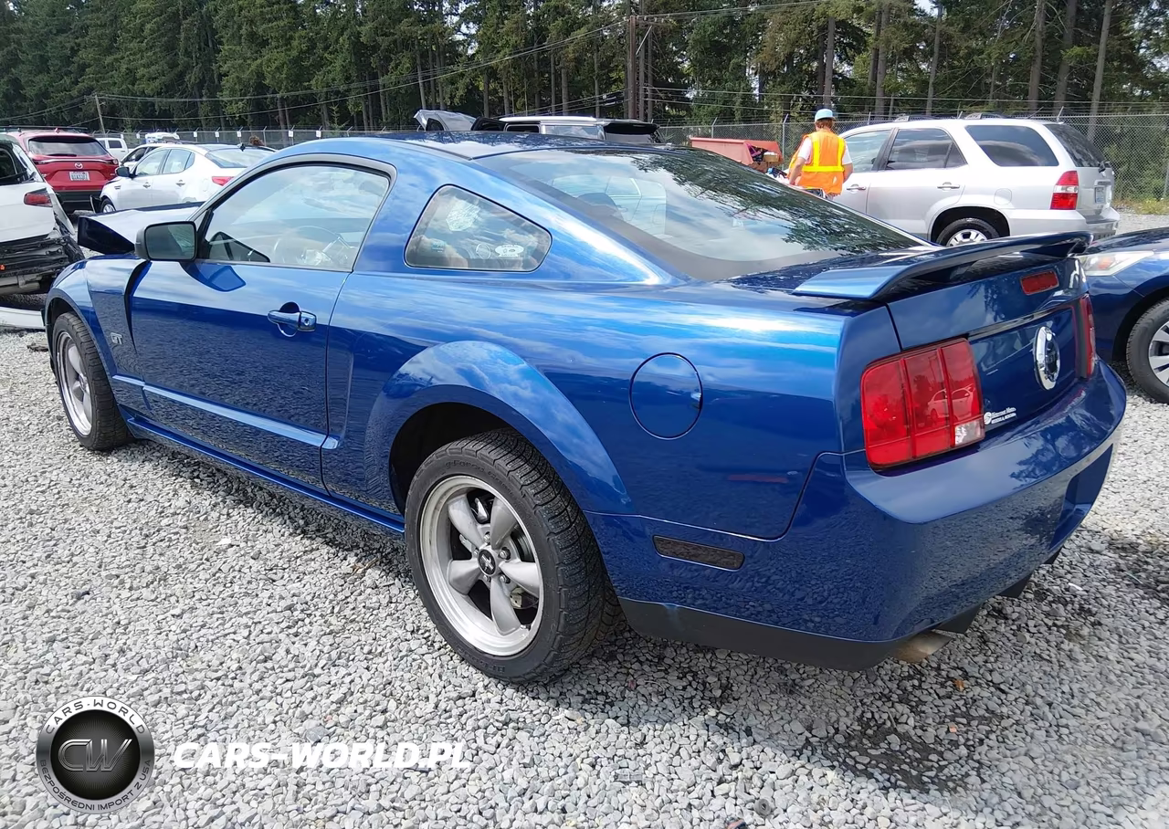 2006 Ford Mustang Gt VIN:1ZVHT82HX65167566 - 3