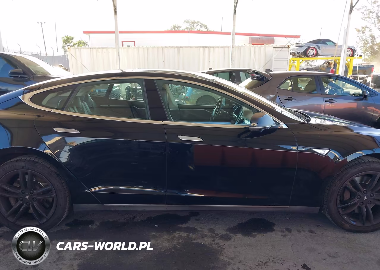 2012 Tesla Model S Performance-Signature Performance VIN:5YJSA1DP2CFS00418 - 13