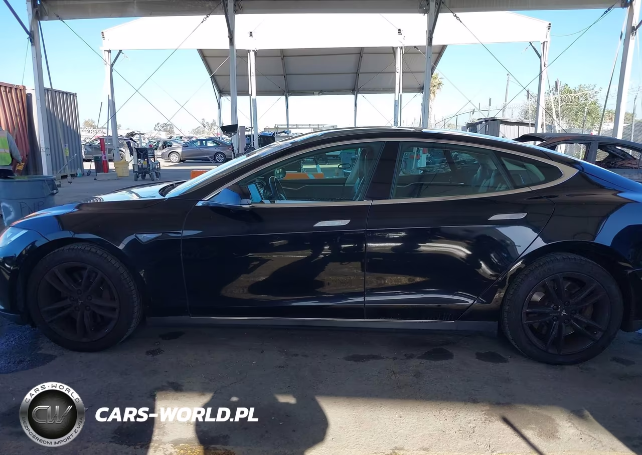 2012 Tesla Model S Performance-Signature Performance VIN:5YJSA1DP2CFS00418 - 14