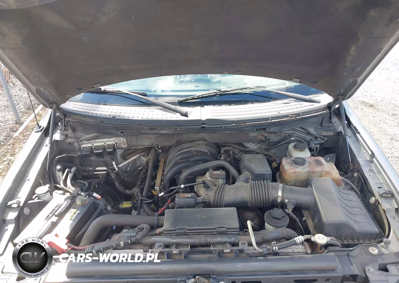 2010 Ford F-150 Xl-Xlt VIN:1FTFW1E82AFB97152 - 10