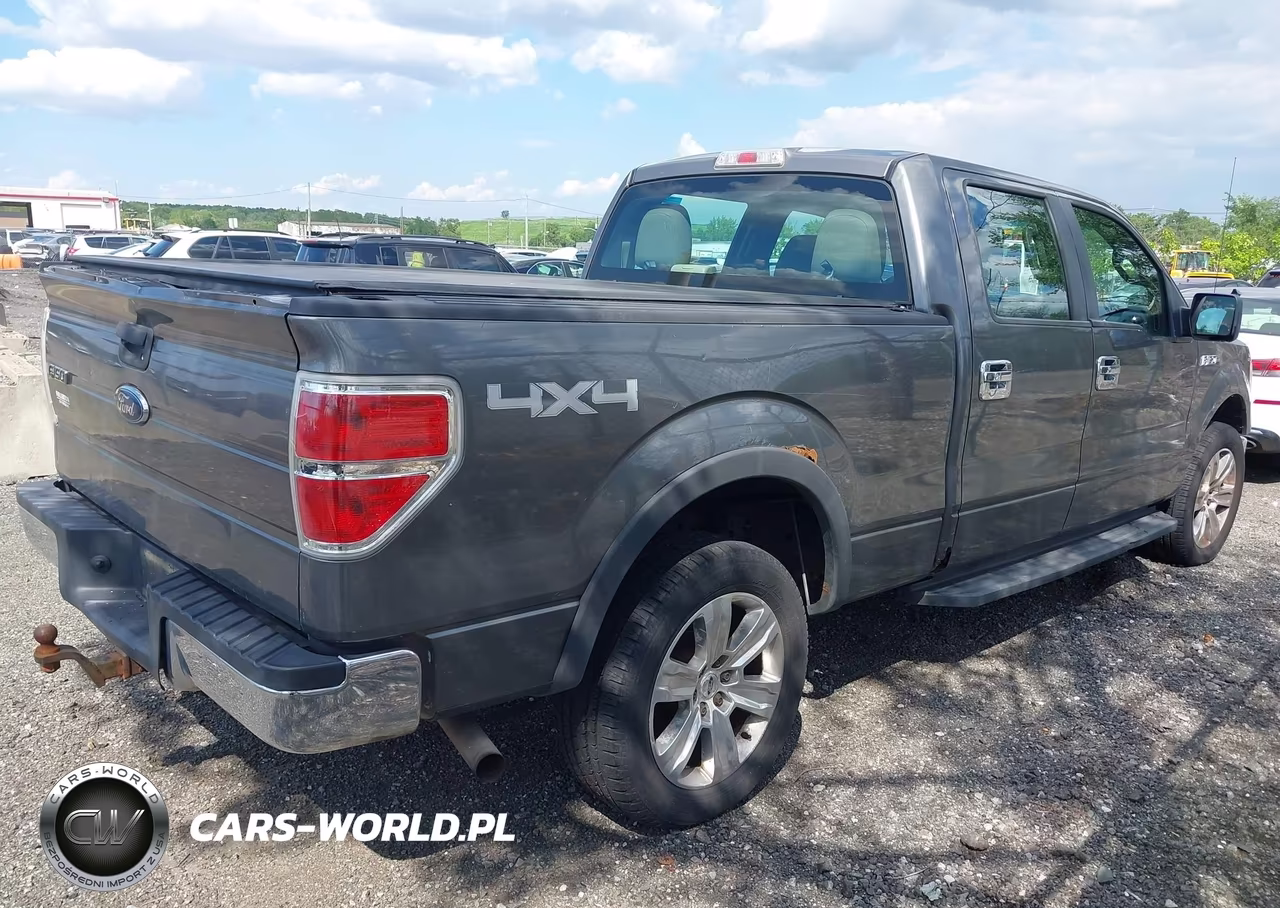 2010 Ford F-150 Xl-Xlt VIN:1FTFW1E82AFB97152 - 13