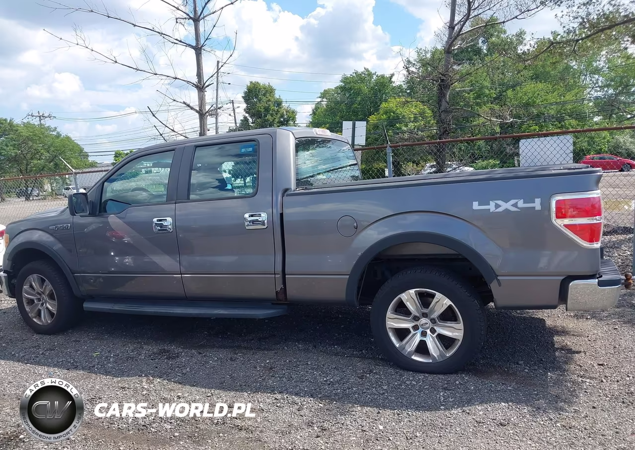 2010 Ford F-150 Xl-Xlt VIN:1FTFW1E82AFB97152 - 14