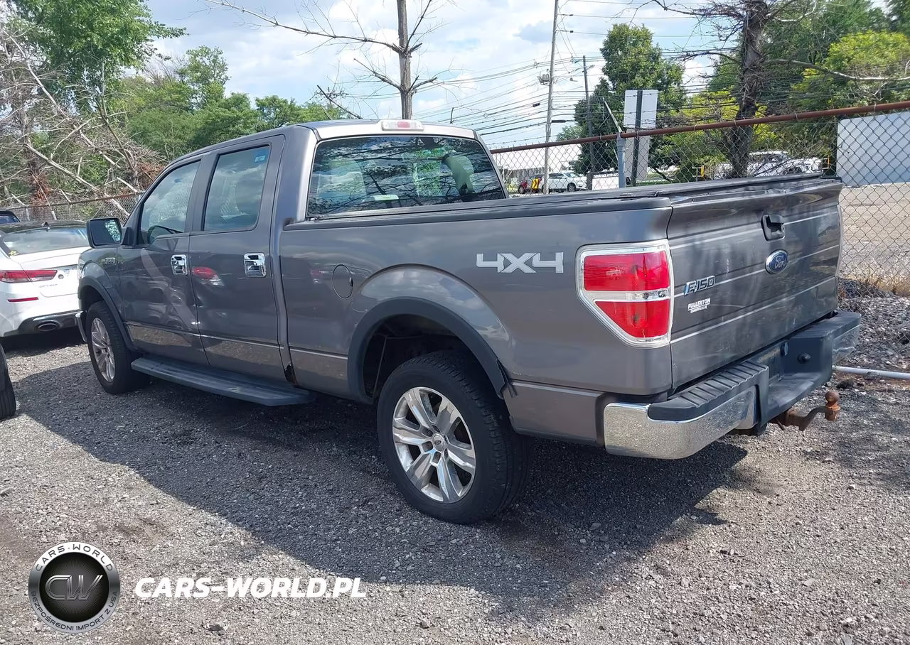 2010 Ford F-150 Xl-Xlt VIN:1FTFW1E82AFB97152 - 3