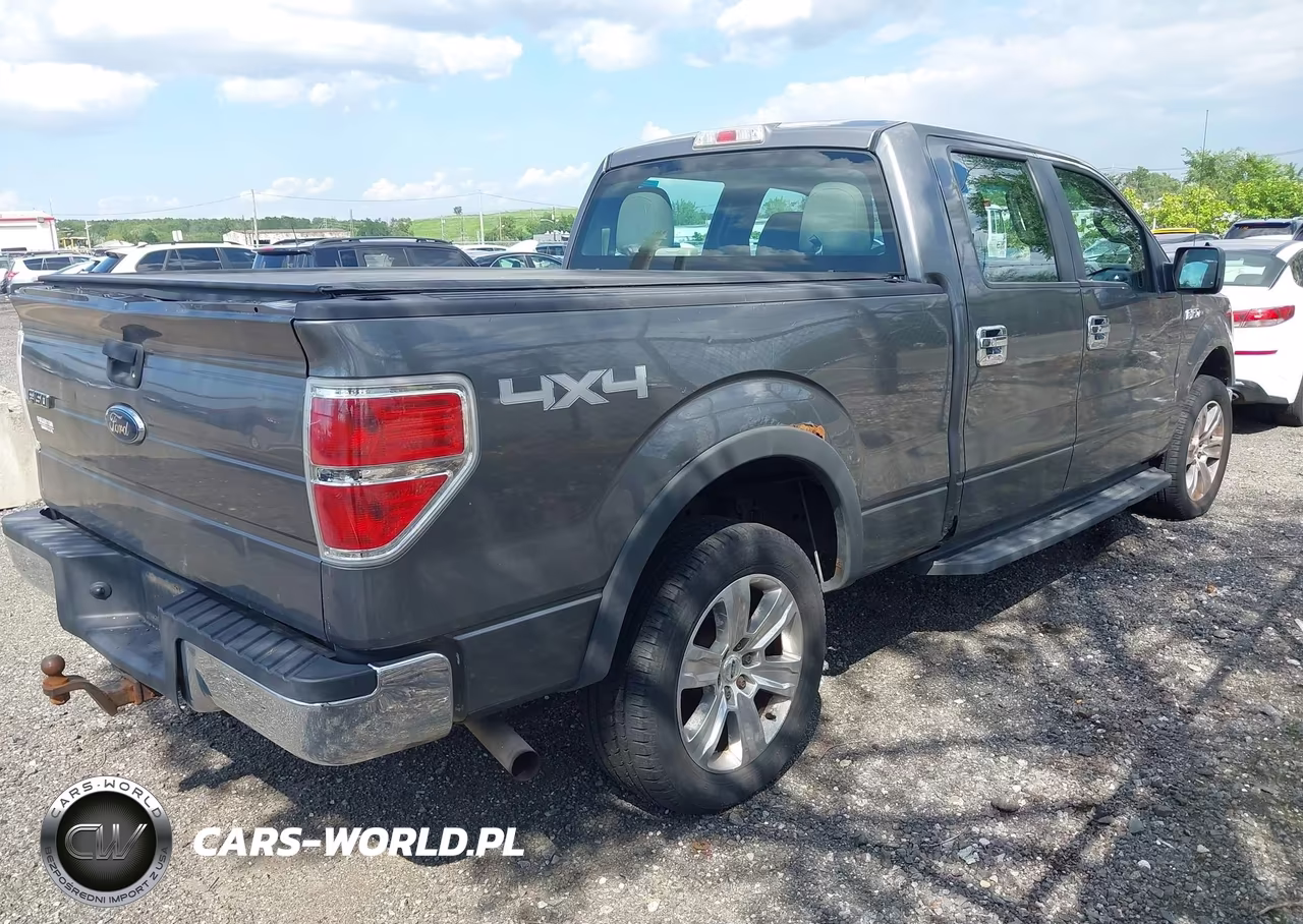 2010 Ford F-150 Xl-Xlt VIN:1FTFW1E82AFB97152 - 4