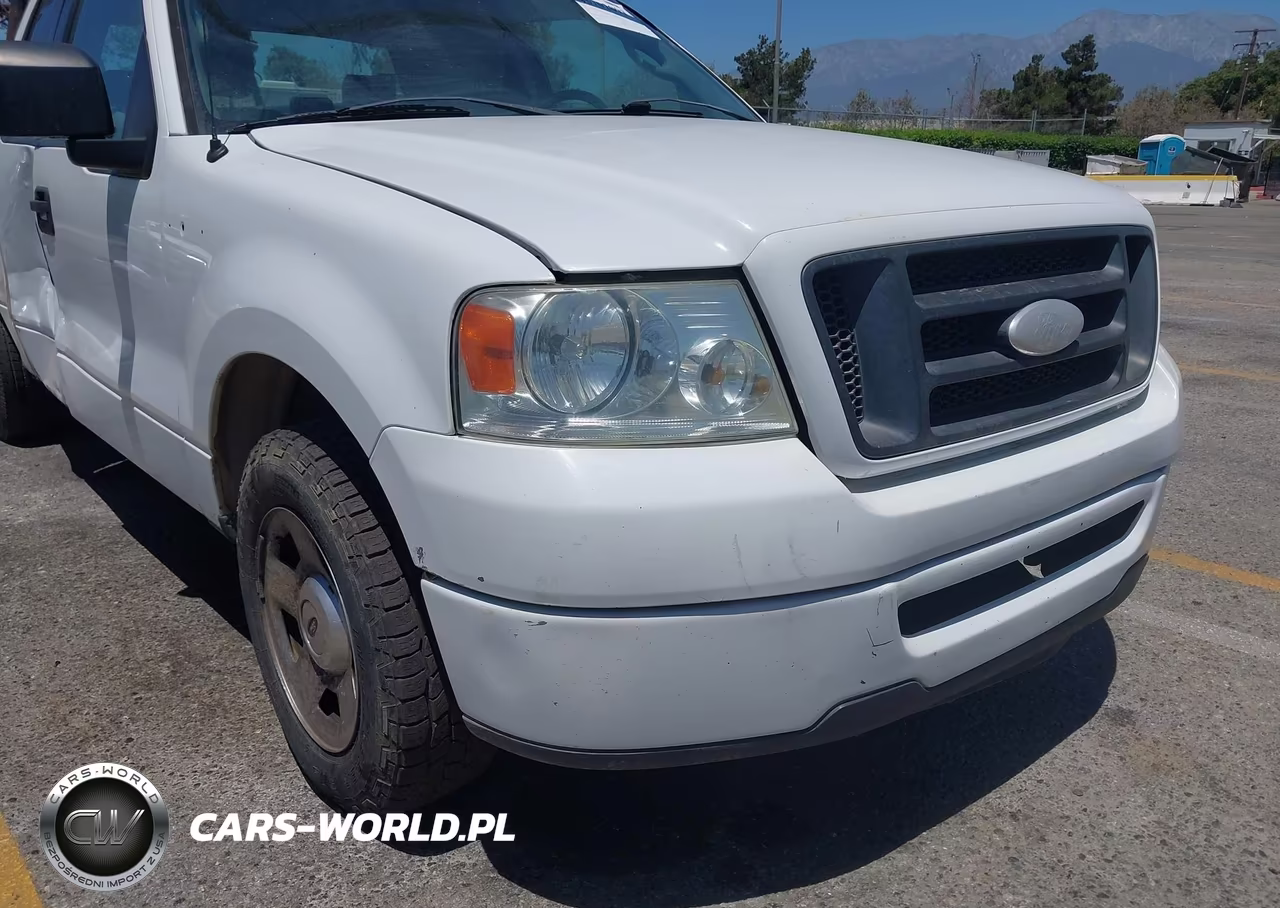 2006 Ford F-150 Stx-Xl-Xlt VIN:1FTRX12W66NA38855 - 13
