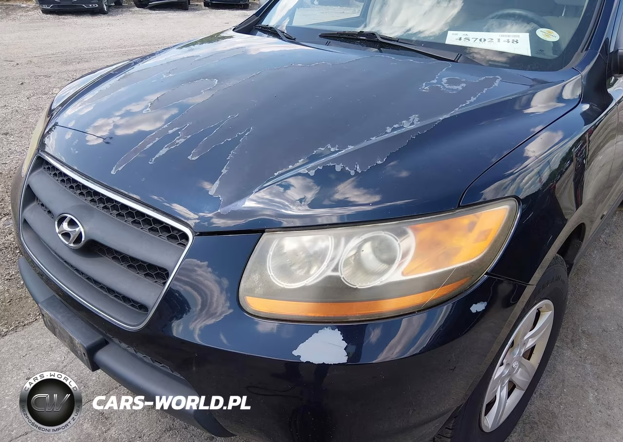 2009 Hyundai Santa Fe Gls VIN:5NMSG73D59H278028 - 6
