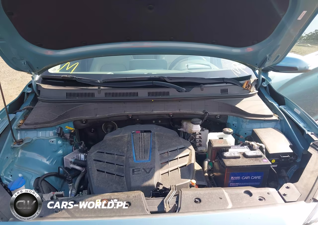 2019 Hyundai Kona Ev Ultimate VIN:KM8K53AG3KU048915 - 10