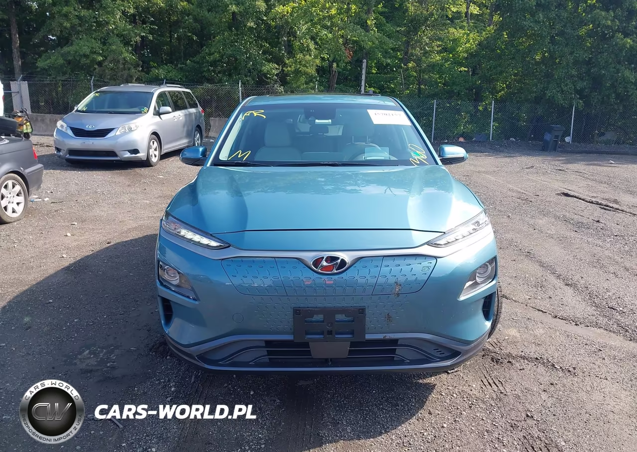 2019 Hyundai Kona Ev Ultimate VIN:KM8K53AG3KU048915 - 12