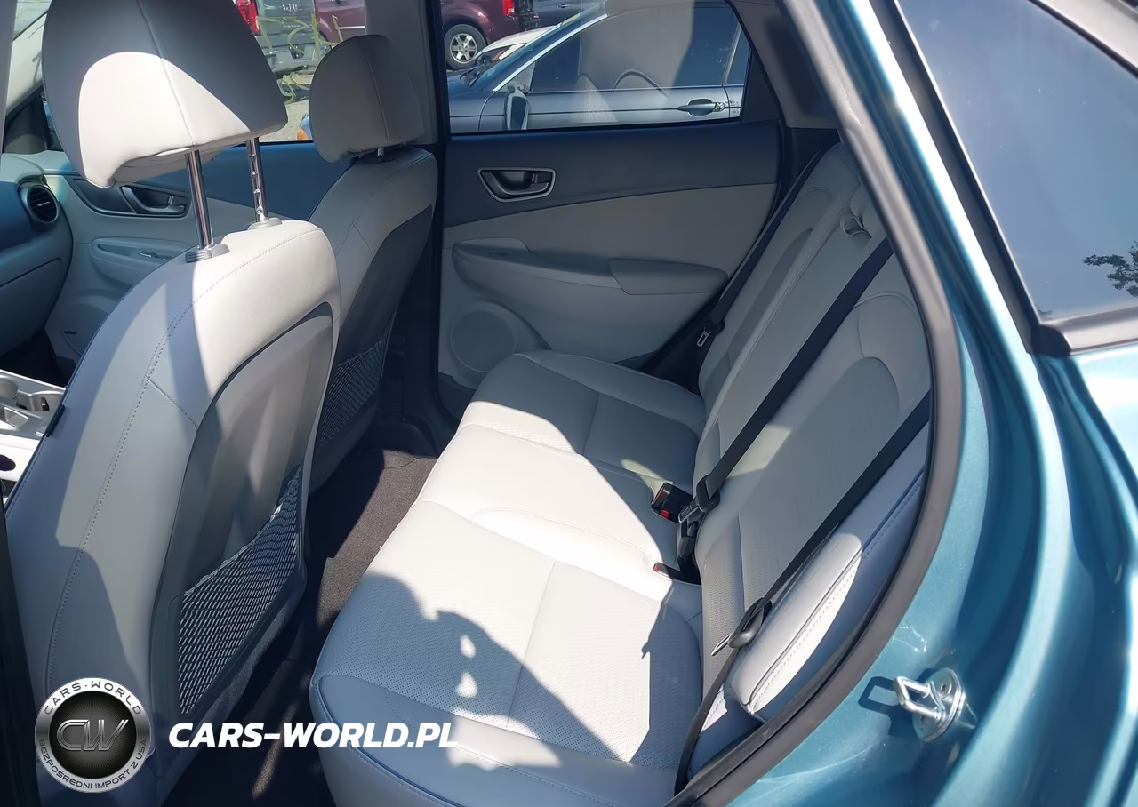 2019 Hyundai Kona Ev Ultimate VIN:KM8K53AG3KU048915 - 8