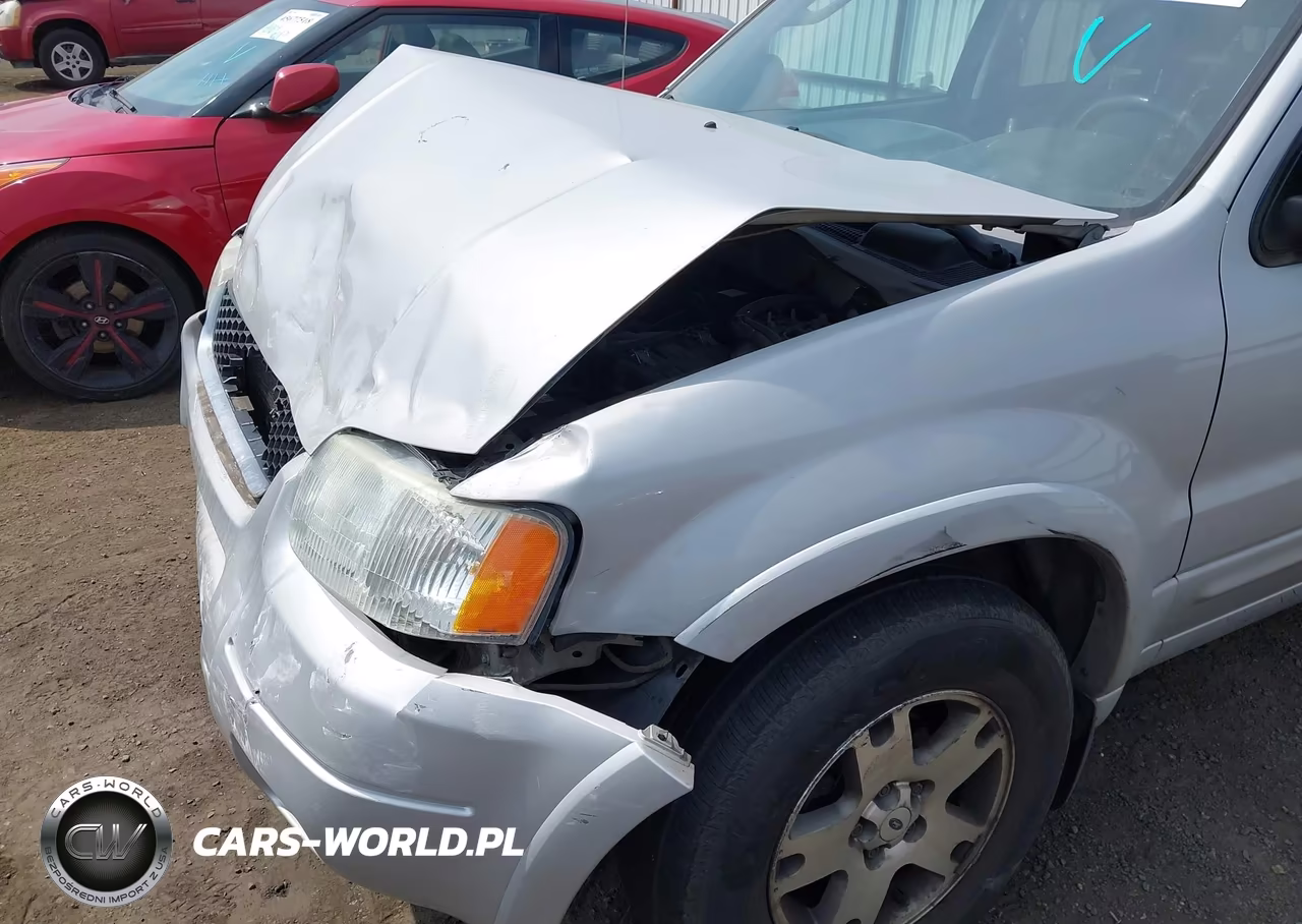 2004 Ford Escape Limited VIN:1FMCU94144KA71250 - 18