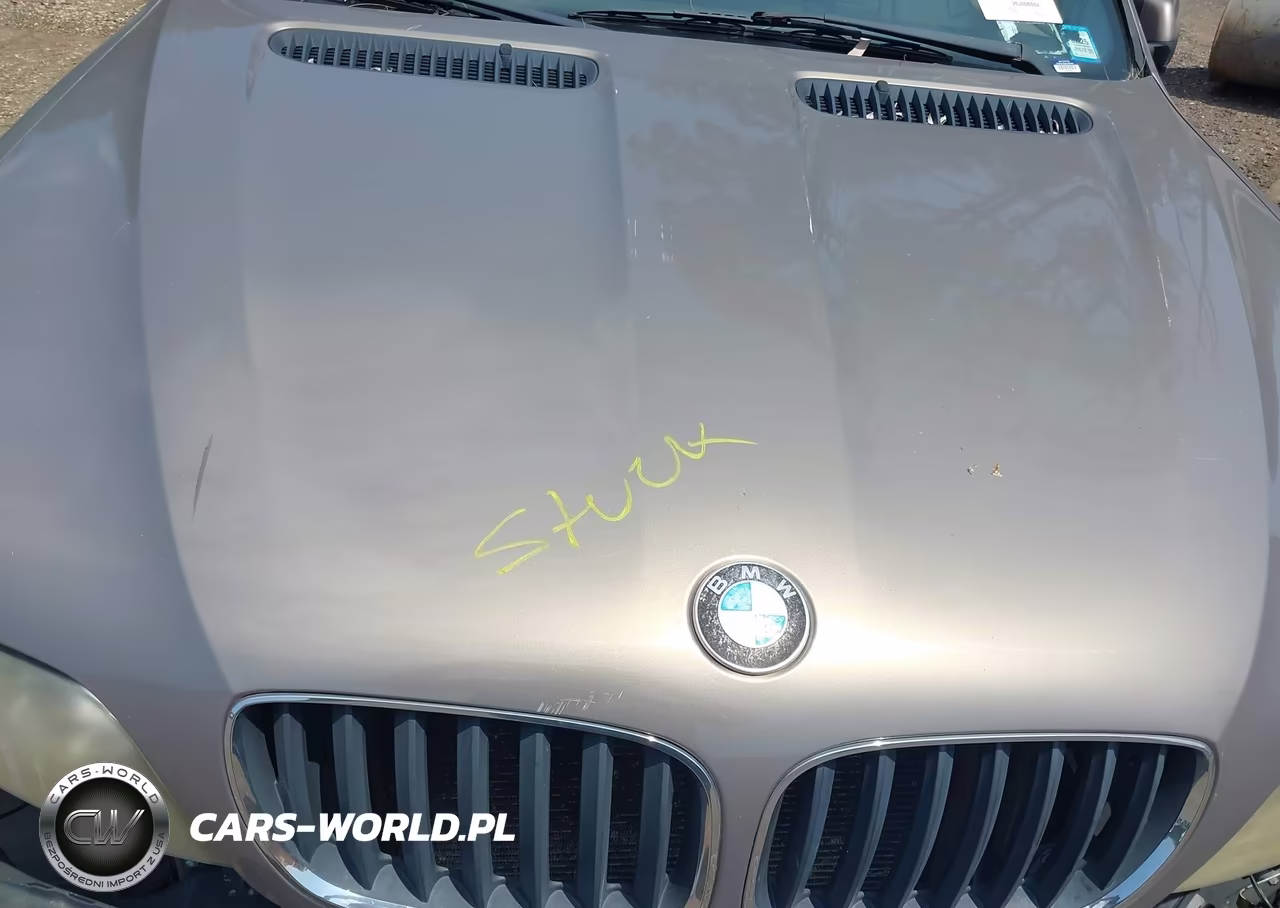 2005 BMW X5 4.4I VIN:5UXFB53535LV12431 - 10