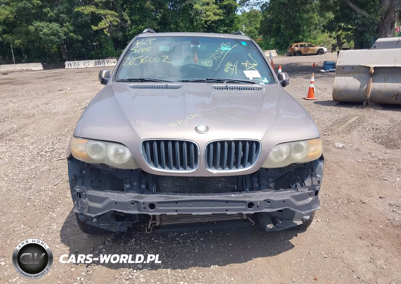 2005 BMW X5 4.4I VIN:5UXFB53535LV12431 - 6