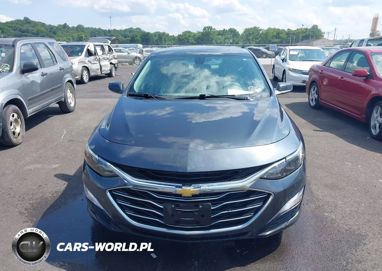 2019 Chevrolet Malibu 1Fl VIN:1G1ZC5ST2KF125948 - 12