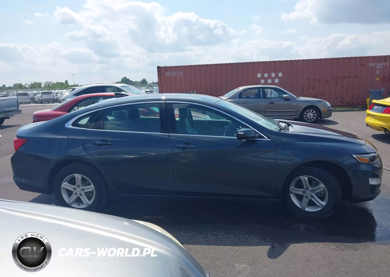 2019 Chevrolet Malibu 1Fl VIN:1G1ZC5ST2KF125948 - 13