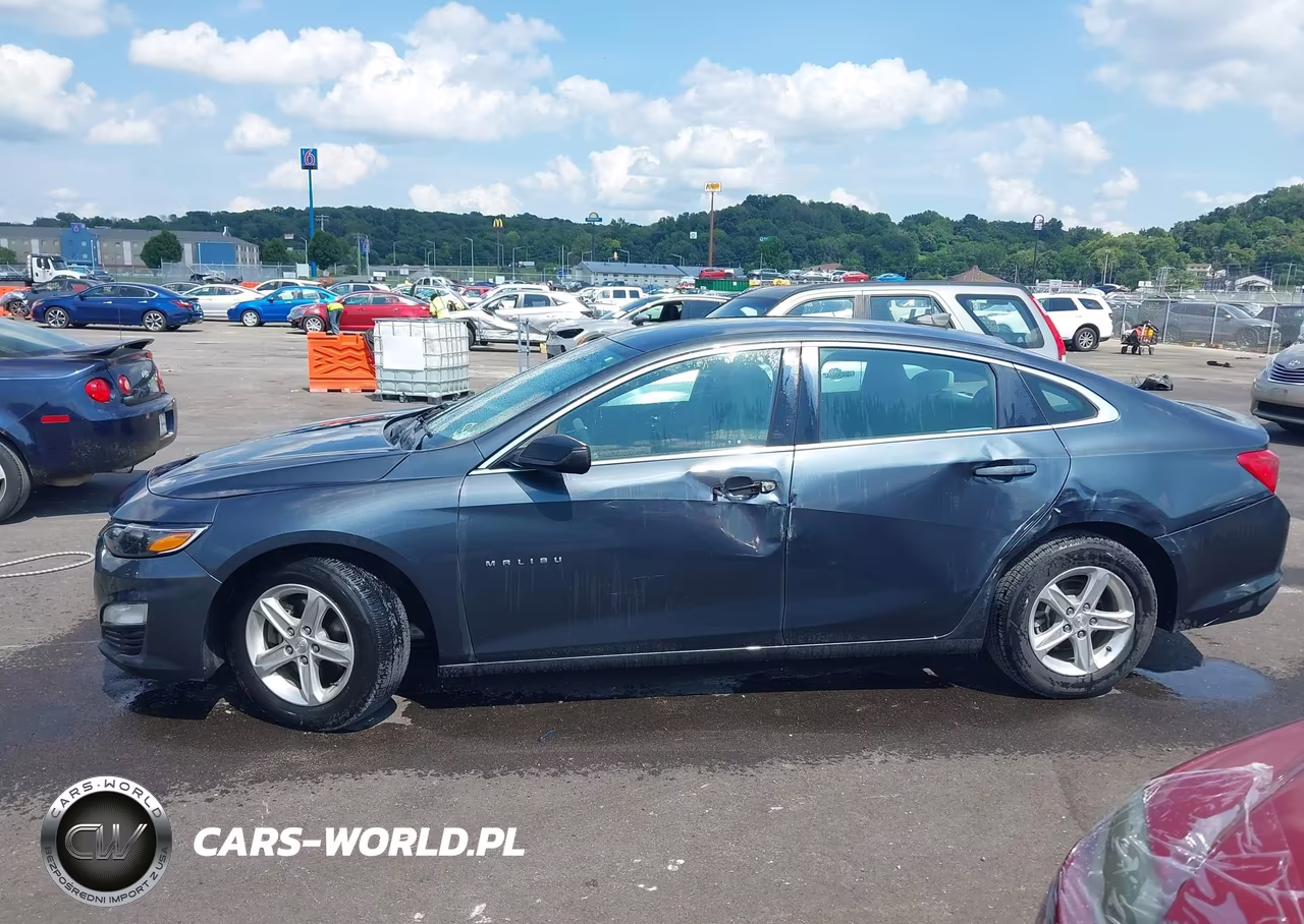 2019 Chevrolet Malibu 1Fl VIN:1G1ZC5ST2KF125948 - 14