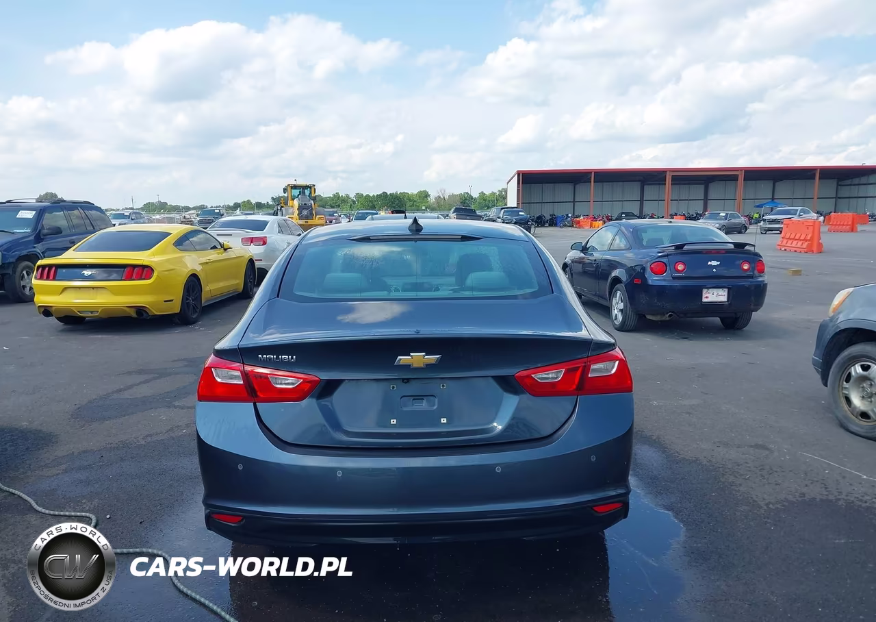 2019 Chevrolet Malibu 1Fl VIN:1G1ZC5ST2KF125948 - 16