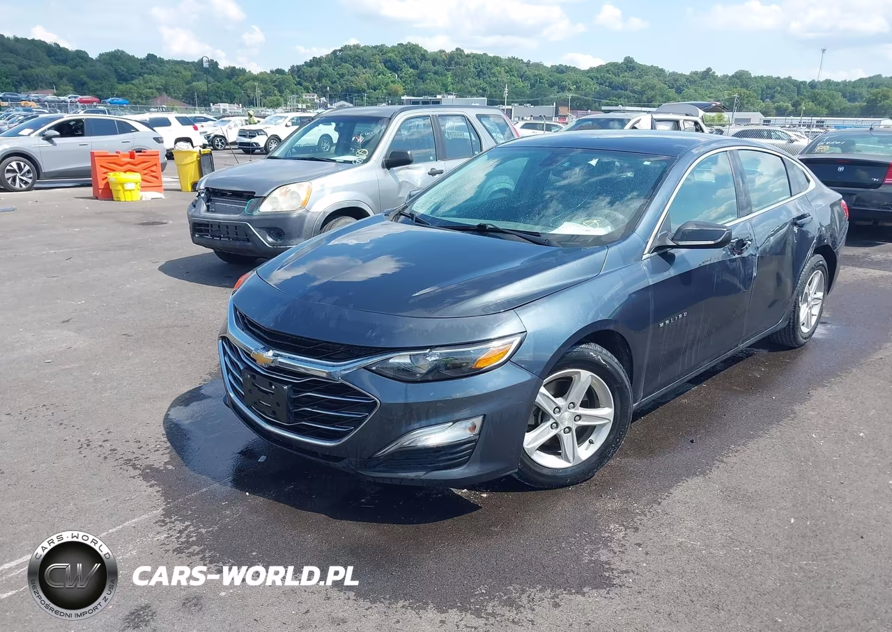 2019 Chevrolet Malibu 1Fl VIN:1G1ZC5ST2KF125948 - 2