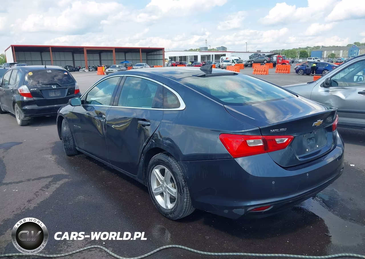 2019 Chevrolet Malibu 1Fl VIN:1G1ZC5ST2KF125948 - 3