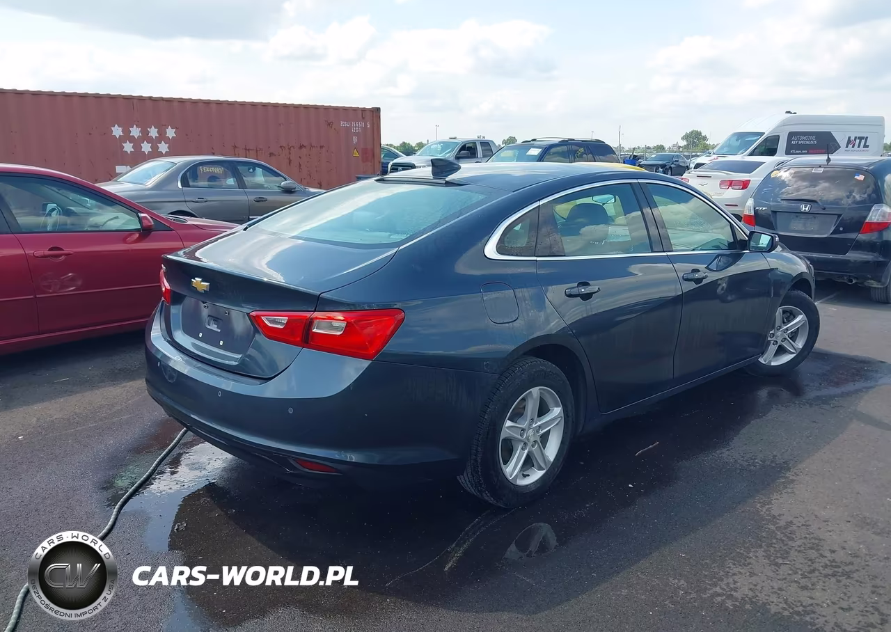 2019 Chevrolet Malibu 1Fl VIN:1G1ZC5ST2KF125948 - 4