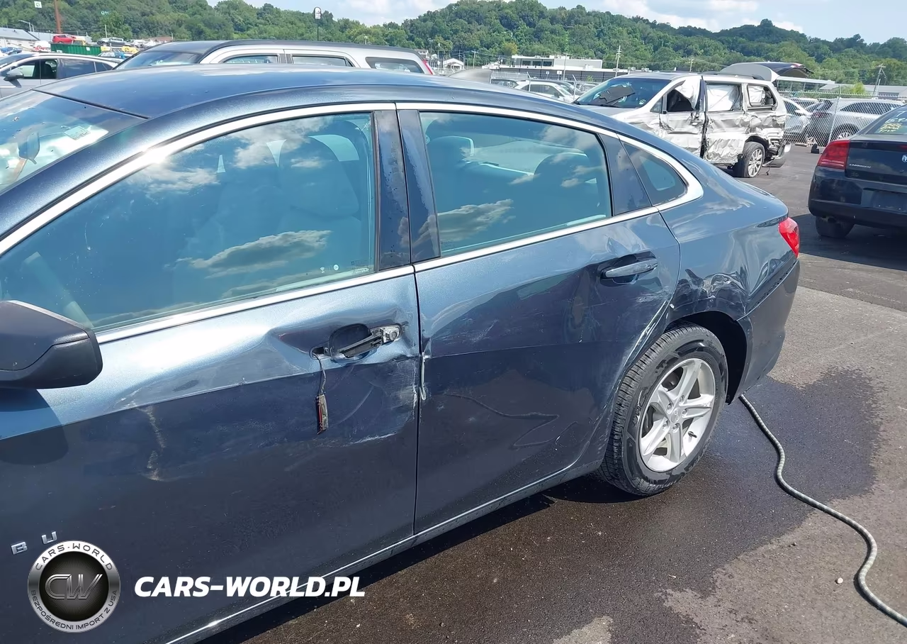 2019 Chevrolet Malibu 1Fl VIN:1G1ZC5ST2KF125948 - 6