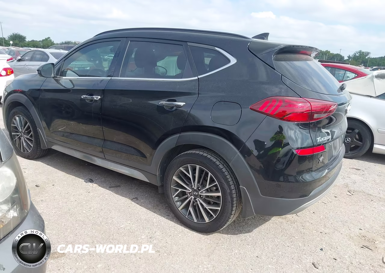 2019 Hyundai Tucson Ultimate VIN:KM8J33AL9KU904216 - 3