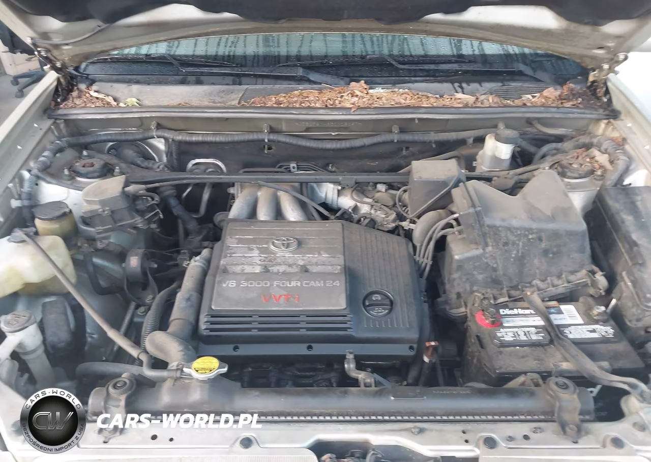 2003 Toyota Highlander Limited V6 VIN:JTEGF21A930109167 - 10
