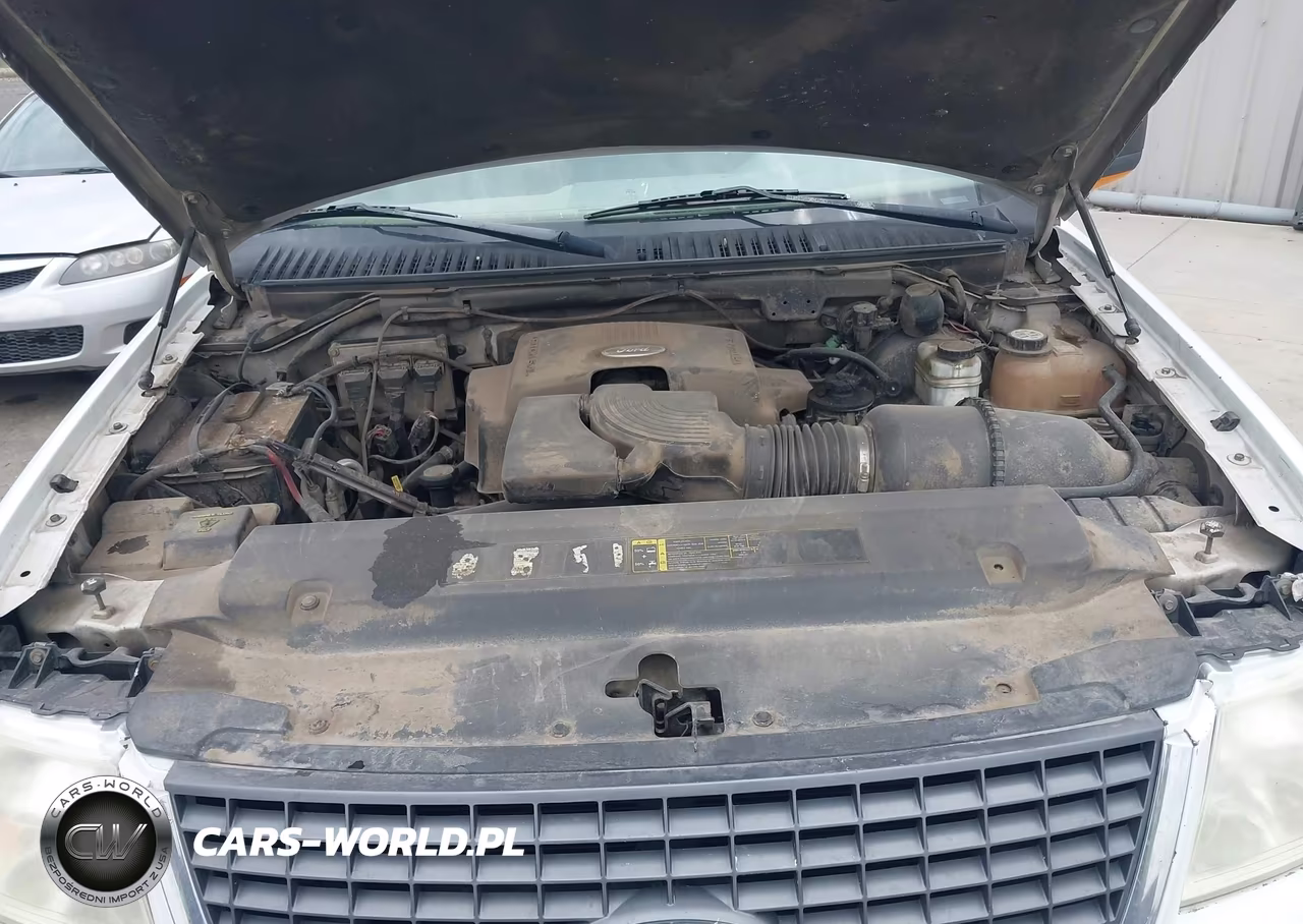 2004 Ford Expedition Xlt VIN:1FMPU15L34LB48526 - 10