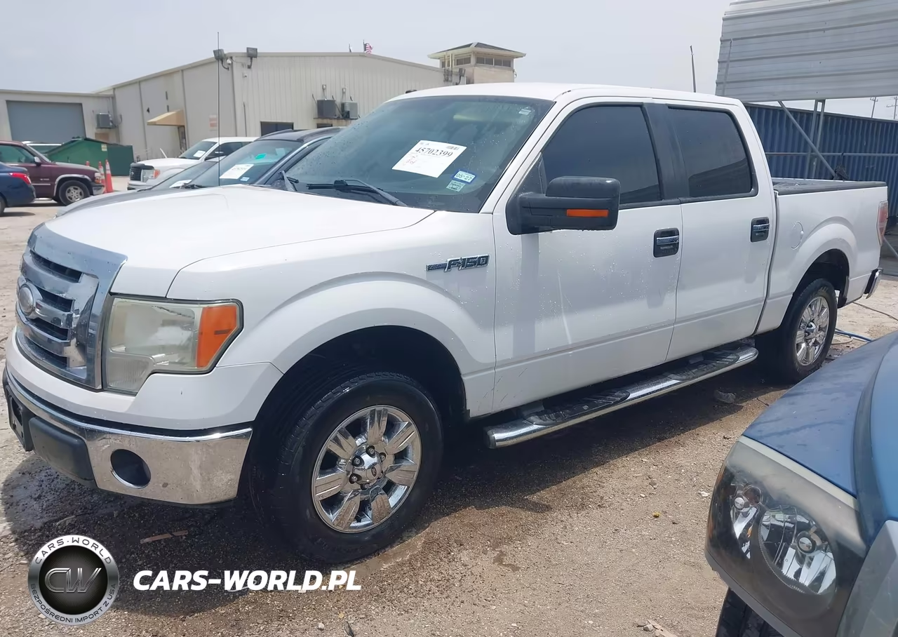 2009 Ford F-150 Xlt VIN:1FTRW128X9KC75116 - 2