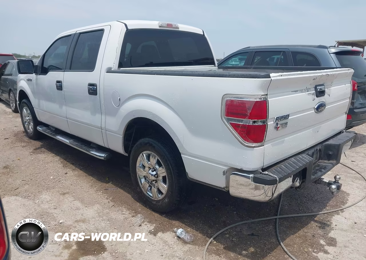 2009 Ford F-150 Xlt VIN:1FTRW128X9KC75116 - 3