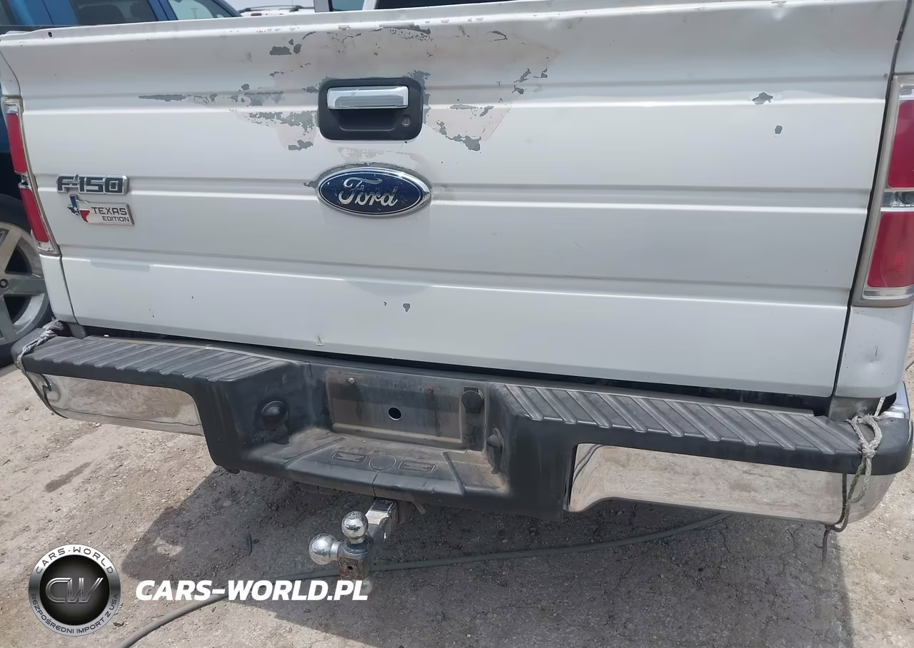 2009 Ford F-150 Xlt VIN:1FTRW128X9KC75116 - 6