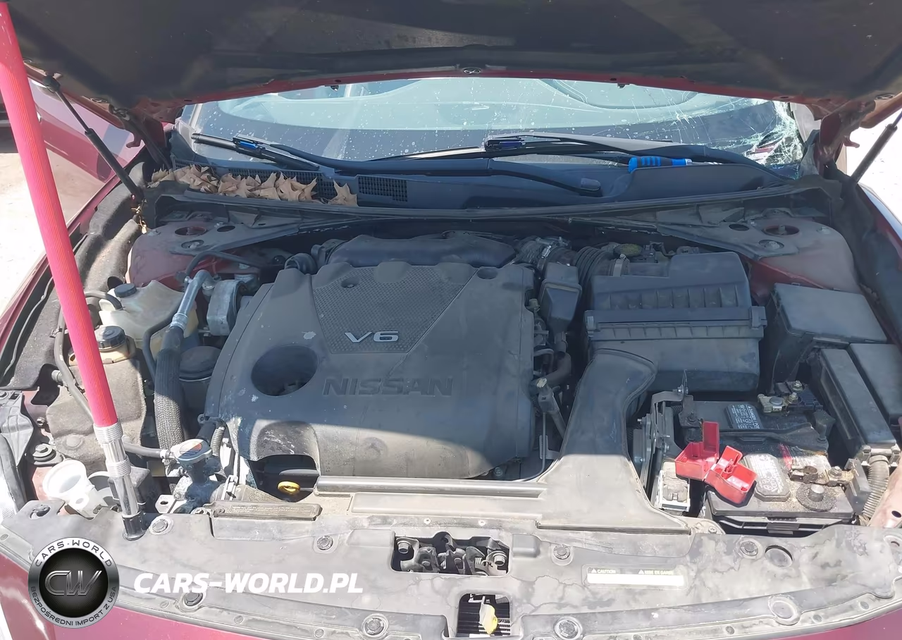 2016 Nissan Maxima 3.5 Sl VIN:1N4AA6AP8GC448050 - 10
