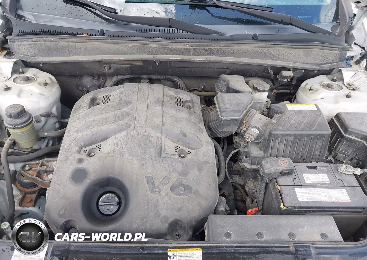 2009 Hyundai Santa Fe Limited VIN:5NMSH73E39H244501 - 10