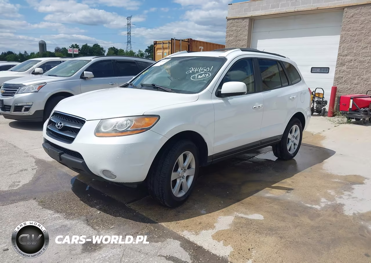 2009 Hyundai Santa Fe Limited VIN:5NMSH73E39H244501 - 2