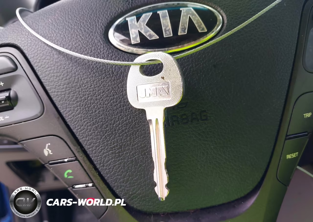 2014 Kia Forte Lx VIN:KNAFK4A68E5061277 - 11