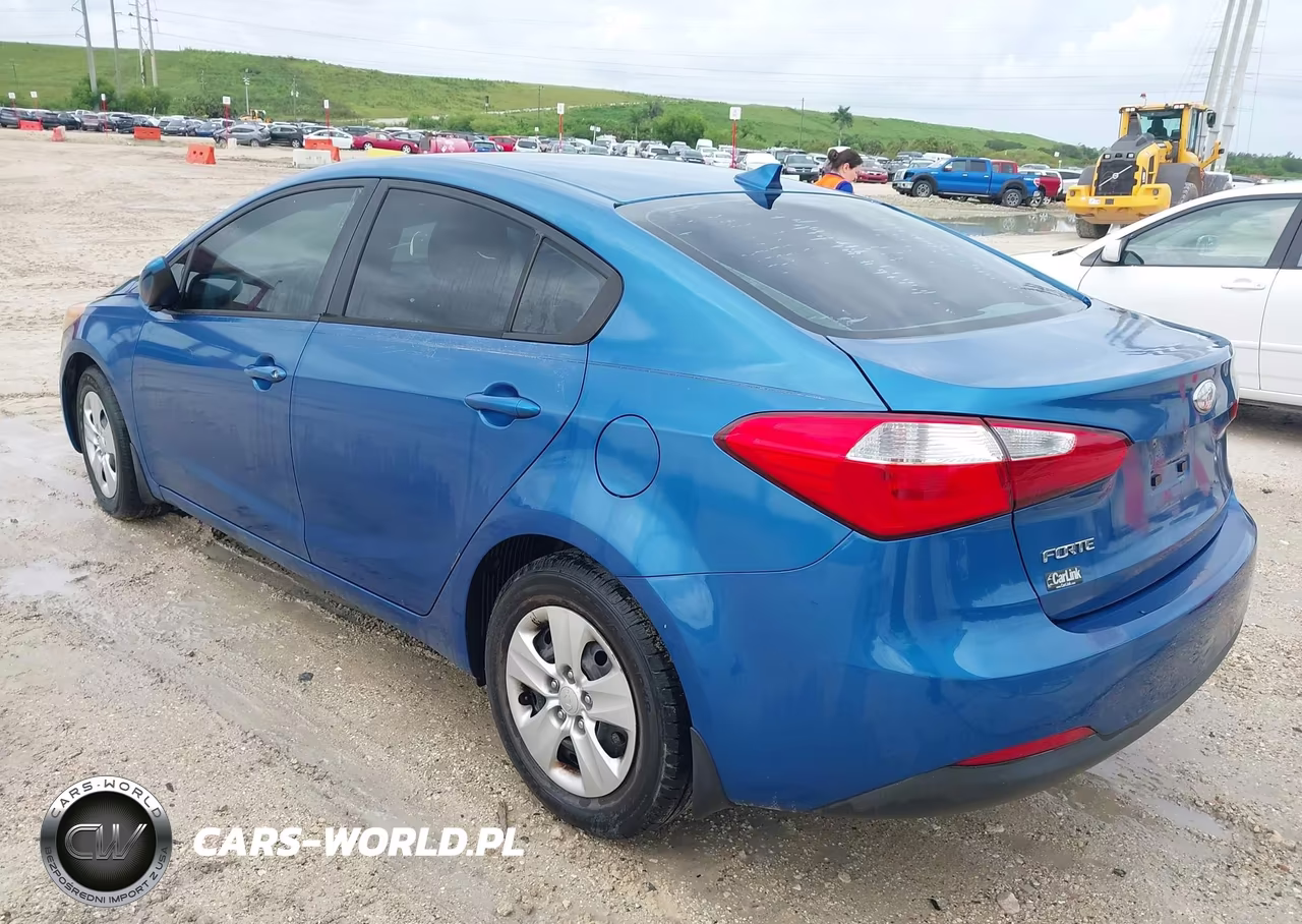 2014 Kia Forte Lx VIN:KNAFK4A68E5061277 - 3